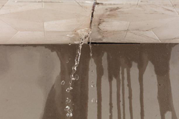Professional Sewage Cleanup technician working in Amboy, CA